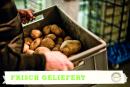 BIOLOGISCH Catering für Schulen &amp; Kitas - Der Weg der Kartoffel - Frisch geliefert